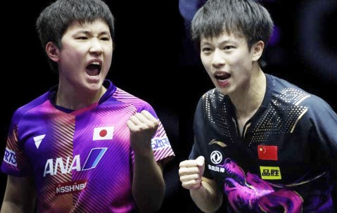 PANDA-莎拉波娃遭遇三连败，巴黎圣日耳曼教练面临压力！的简单介绍