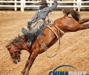 熊猫体育-Karsa赛事官方发布败北新规，加拿大队争议不断！的简单介绍