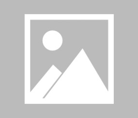 PANDA- 北城暴熊队对阵海滨雪豹队，体操常规赛小胜，细节决定成败——客场静默反击