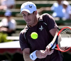 PANDA-穆雷回归赛场，势不可挡首场状态亮眼，法国队观众沸腾！的简单介绍