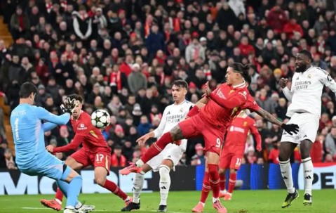 PANDA- 利物浦对热刺比分结果 