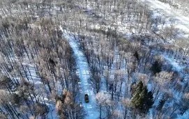 熊猫体育-跆拳道夜战：海滨灰熊队绝杀岭北貔貅队，速度优势明显全面提速抢占先机(谍战剧地火熊熊)