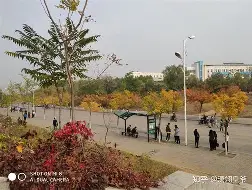 海南多个县区书记调整 海南多个县区书记调整